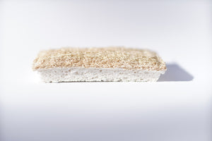 Compostable Sponge - 3 Pack