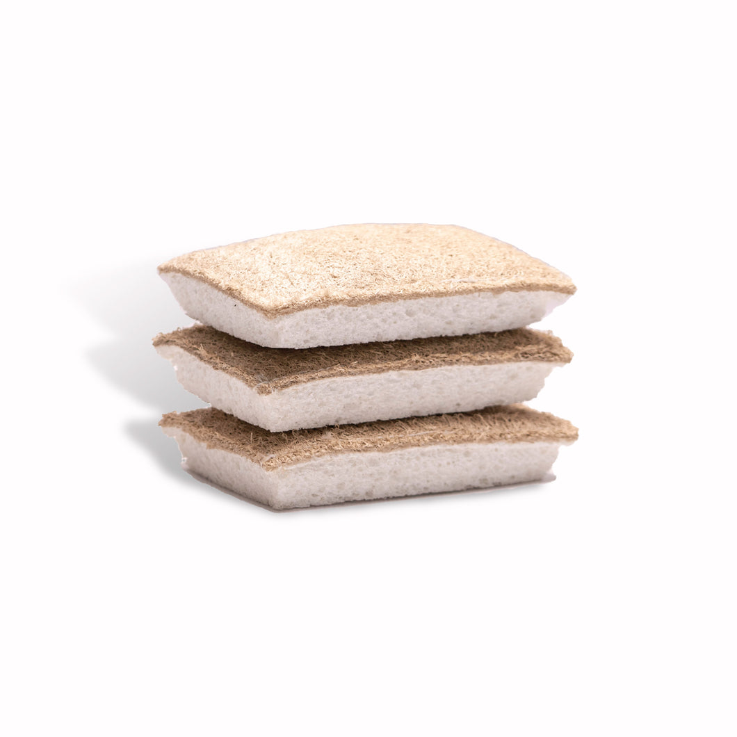 Compostable Sponge - 3 Pack