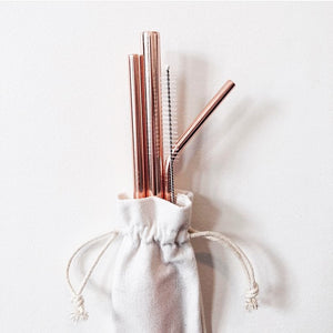 Stainless Steel Straw Set